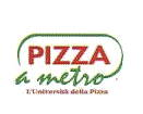 www.pizzametro.it/